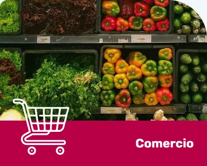 comercio-v1